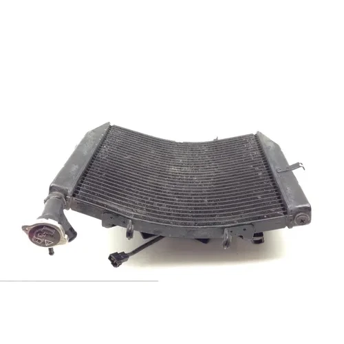 Radiator Cooling Front Fluid with Fan 2007 Triumph Daytona 675 1646 x 7