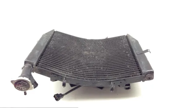 Radiator Cooling Front Fluid with Fan 2007 Triumph Daytona 675 1646 x