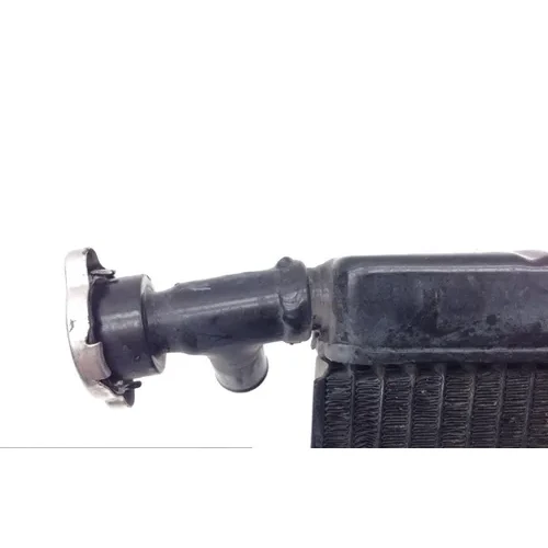 Radiator Cooling Front Fluid with Fan 2007 Triumph Daytona 675 1646 x 9