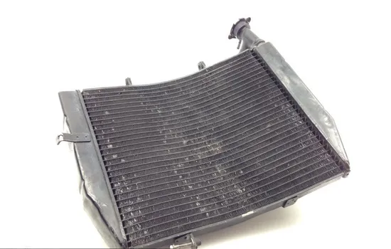 Radiator Cooling Front Fluid with Fan 2007 Triumph Daytona 675 1646 x