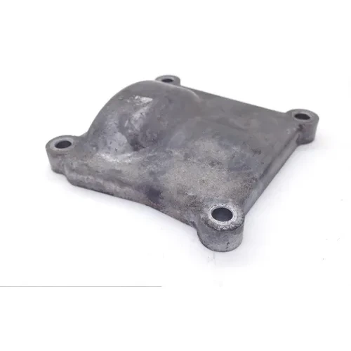 Engine Clutch Cover 2005 Yamaha FJR1300A ABS 1672A 11