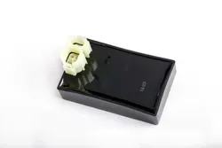 Rick's Motorsport CDI ECU Box