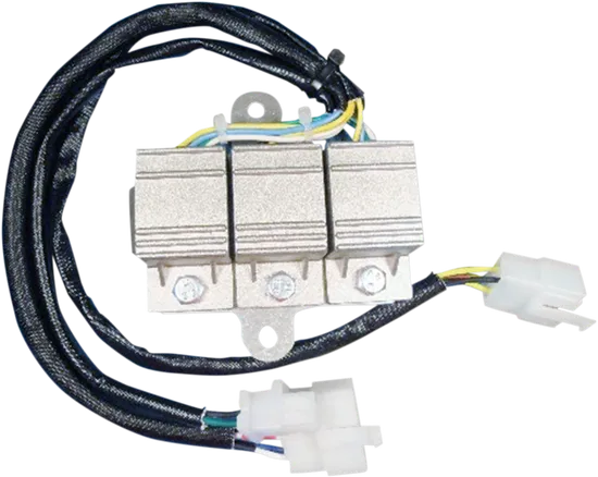 Rick's Motorsport CDI ECU Box