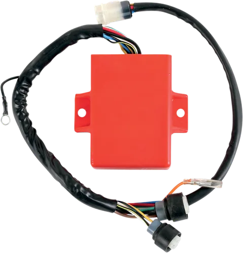 Rick's Hot Shot CDI ECU Box