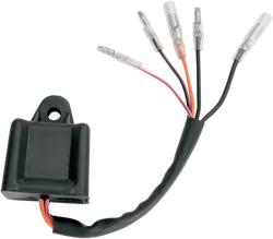 Rick's Motorsport CDI ECU Box