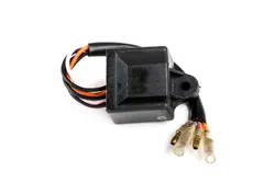 Rick's Motorsport CDI ECU Box