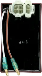 Rick's Hot Shot CDI ECU Box