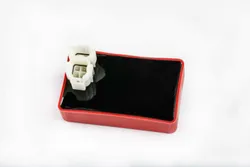 Rick's Hot Shot CDI ECU Box