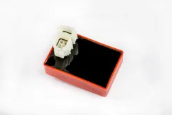 Rick's Hot Shot CDI ECU Box