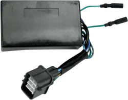 Rick's Motorsport CDI ECU Box w/ Fan Wire