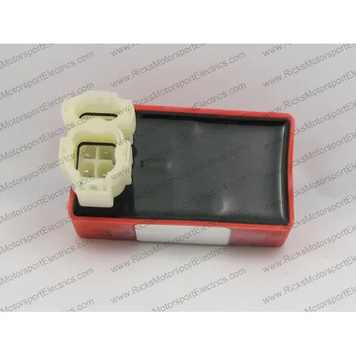 Rick's Motorsport CDI ECU Box 3