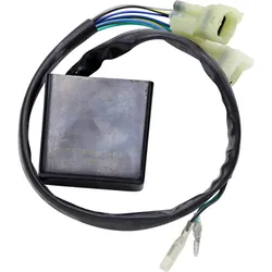 Rick's Motorsport CDI ECU Box