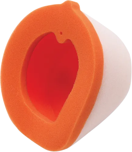 Twin Air Foam Air Filter