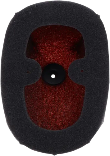 Twin Air PowerFlo Foam Air Filter