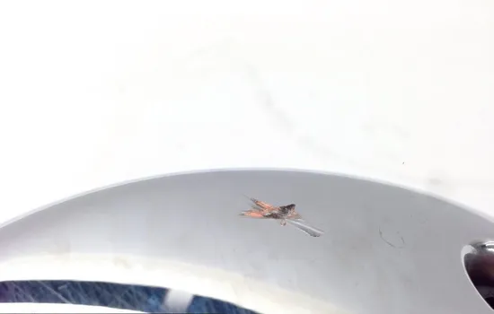 Engine Clutch Cover 2002 Kawasaki Vulcan 1500 VN1500P Mean Streak 1678 x