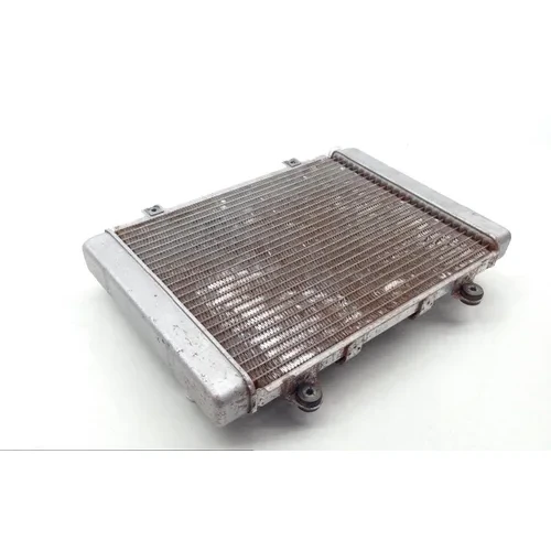 Engine Radiator Cooling 2005 Kawasaki Brute Force 650 KVF650D 4x4 1689 3