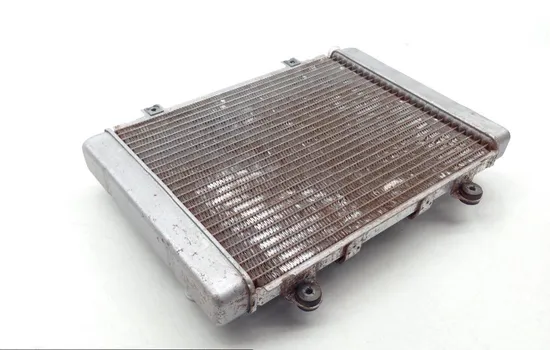 Engine Radiator Cooling 2005 Kawasaki Brute Force 650 KVF650D 4x4 1689