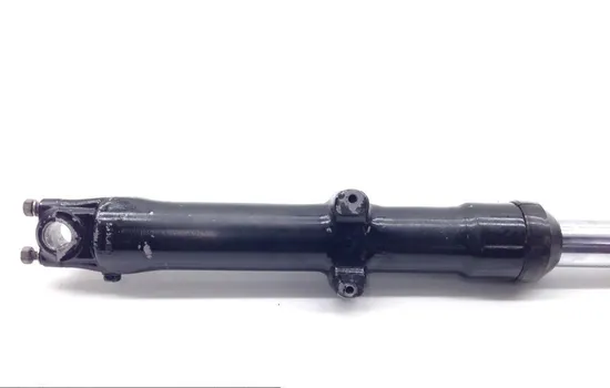 Front Forks Tubes Legs 1987 Harley-Davidson Softail Custom FXSTC 1636 x