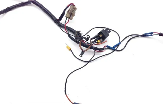 Main Engine Wiring Harness 1987 Harley-Davidson Softail Custom FXSTC 1636 x