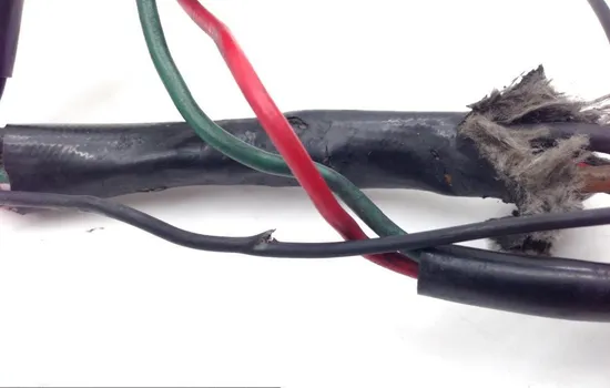 Main Engine Wiring Harness 1987 Harley-Davidson Softail Custom FXSTC 1636 x