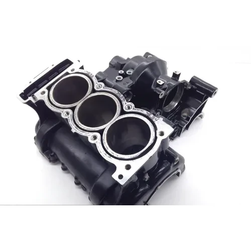 Engine Left Right Center Cases 2001 Triumph Daytona 955i 1661A x 12