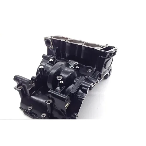 Engine Left Right Center Cases 2001 Triumph Daytona 955i 1661A x 10