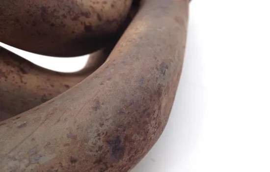 Full Exhaust Muffler Pipe System 2001 Triumph Daytona 955i 1661A x