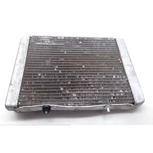Engine Radiator Cooling 2008 Polaris RZR 800 EFI 1696 x 13