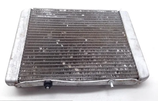 Engine Radiator Cooling 2008 Polaris RZR 800 EFI 1696 x