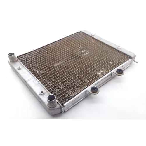 Engine Radiator Cooling 2008 Polaris RZR 800 EFI 1696 x 9
