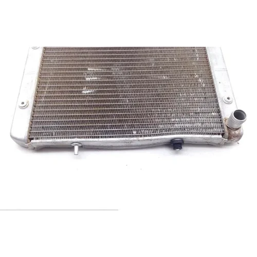 Engine Radiator Cooling 2008 Polaris RZR 800 EFI 1696 x 5