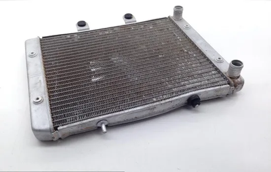 Engine Radiator Cooling 2008 Polaris RZR 800 EFI 1696 x