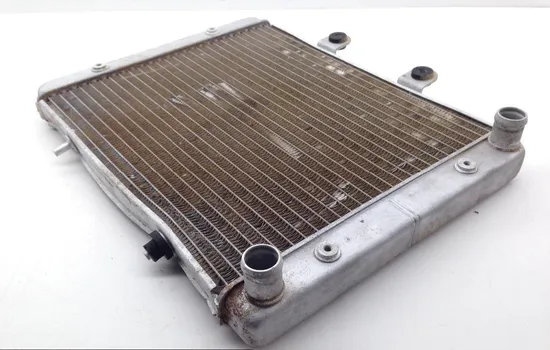Engine Radiator Cooling 2008 Polaris RZR 800 EFI 1696 x