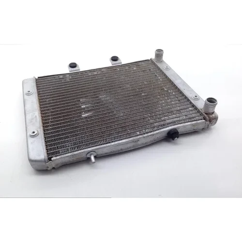 Engine Radiator Cooling 2008 Polaris RZR 800 EFI 1696 x 3