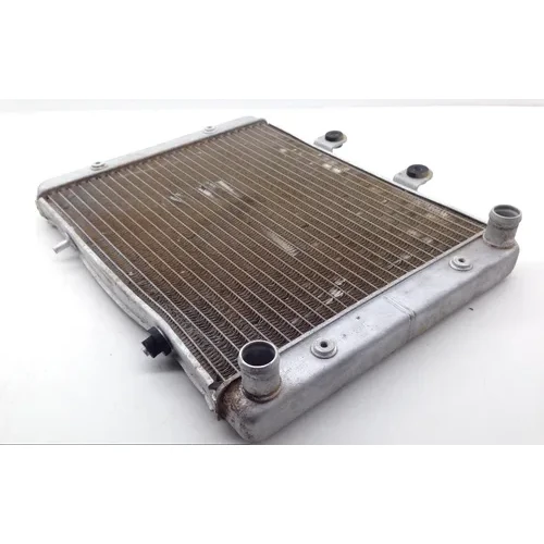 Engine Radiator Cooling 2008 Polaris RZR 800 EFI 1696 x 7
