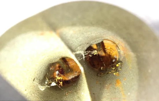 Engine Cylinder Head Complete Rear 2007 Suzuki SV650 1697 Parts