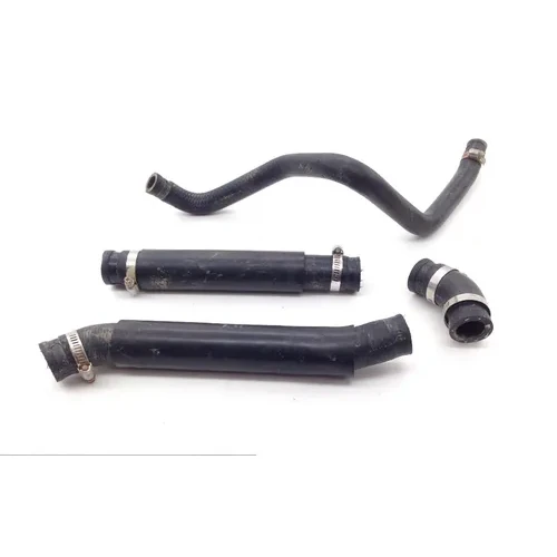 700XX Engine Radiator Cooling Hoses From Honda TRX700XX 2008 3