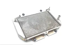 Engine Radiator Cooling 2013 Yamaha YFZ450 1716A