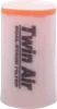 Twin Air Foam Air Filter