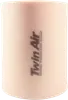 Twin Air Foam Air Filter