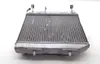Honda 450R Engine Radiator Cooling From 2005 TRX450R x