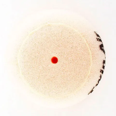 Twin Air Foam Air Filter