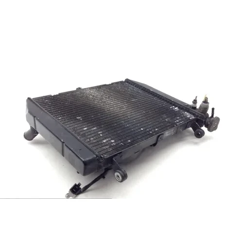 Radiator Cooling Front Fluid with Fan 2000 Yamaha YZF R1 1729A x 5