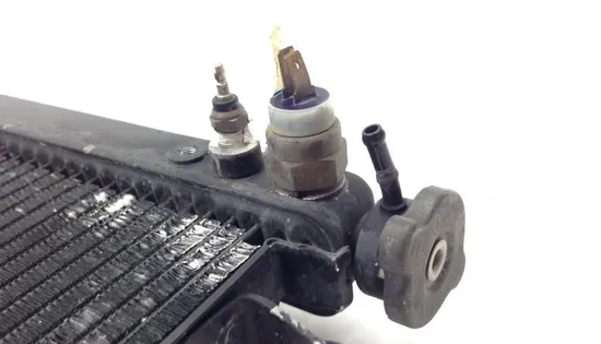 Radiator Cooling Front Fluid with Fan 2000 Yamaha YZF R1 1729A x