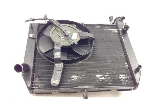 Radiator Cooling Front Fluid with Fan 2000 Yamaha YZF R1 1729A x