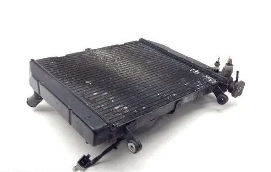 Radiator Cooling Front Fluid with Fan 2000 Yamaha YZF R1 1729A x