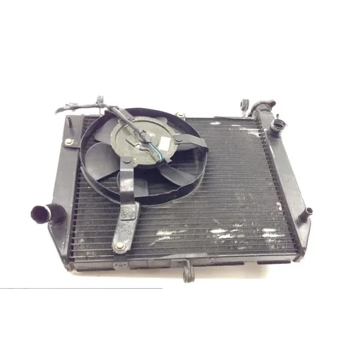 Radiator Cooling Front Fluid with Fan 2000 Yamaha YZF R1 1729A x 9
