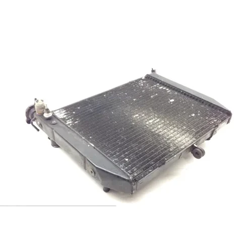 Radiator Cooling Front Fluid with Fan 2000 Yamaha YZF R1 1729A x 3