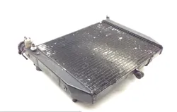 Radiator Cooling Front Fluid with Fan 2000 Yamaha YZF R1 1729A x