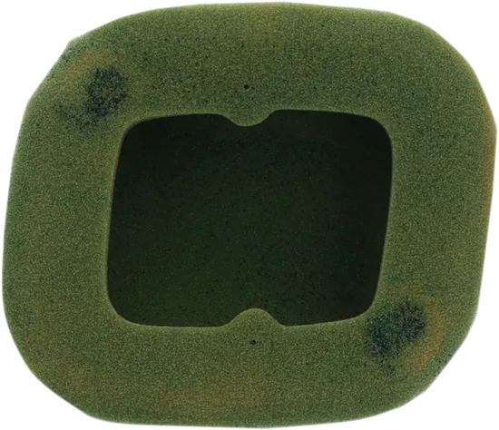 Twin Air Pre Oiled Foam Air Filter